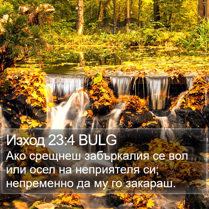 Изход 23:4 BULG Bible Study