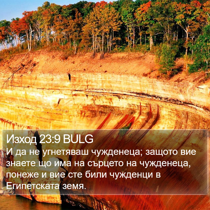 Изход 23:9 BULG Bible Study