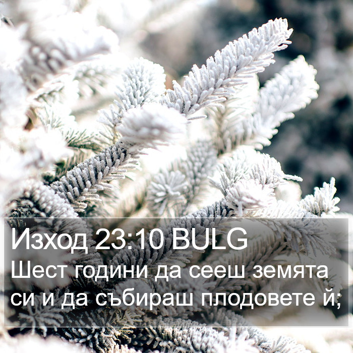 Изход 23:10 BULG Bible Study