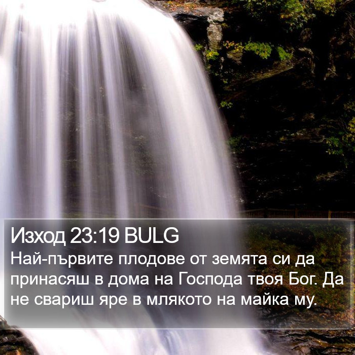 Изход 23:19 BULG Bible Study