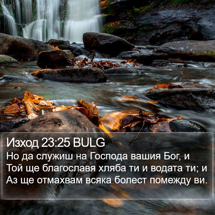 Изход 23:25 BULG Bible Study