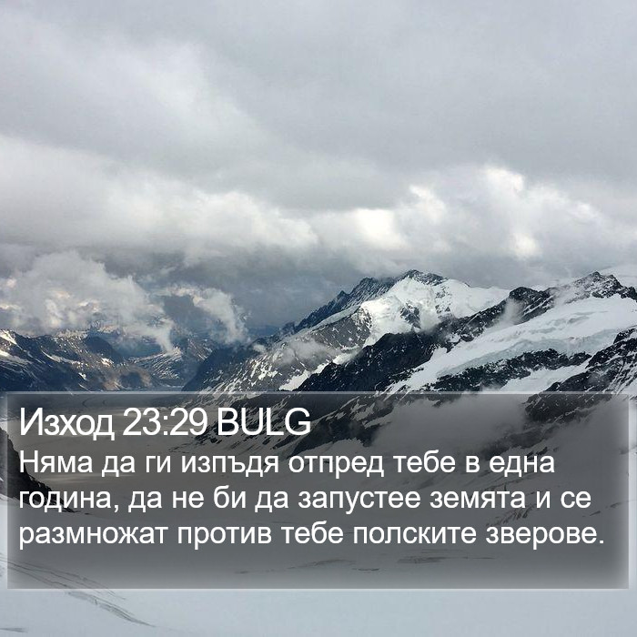 Изход 23:29 BULG Bible Study