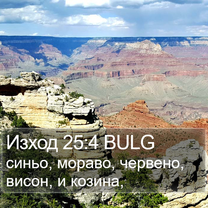 Изход 25:4 BULG Bible Study