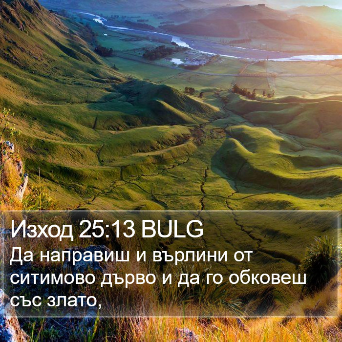 Изход 25:13 BULG Bible Study