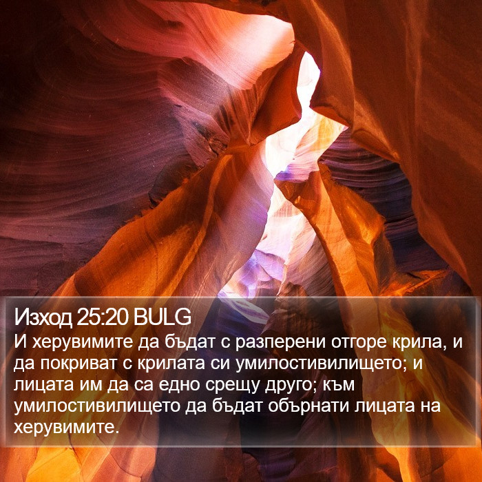 Изход 25:20 BULG Bible Study