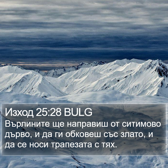 Изход 25:28 BULG Bible Study