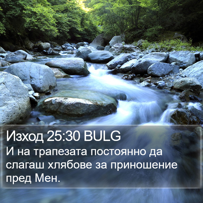Изход 25:30 BULG Bible Study