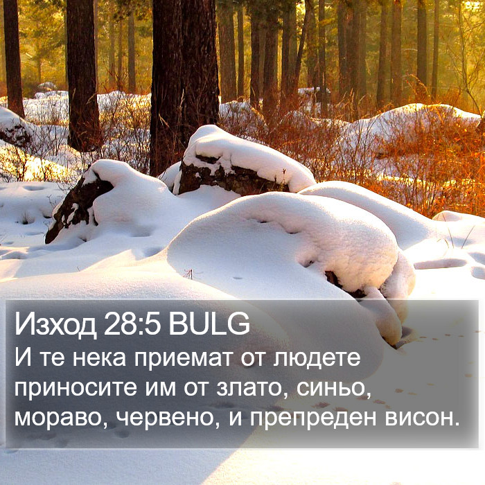 Изход 28:5 BULG Bible Study