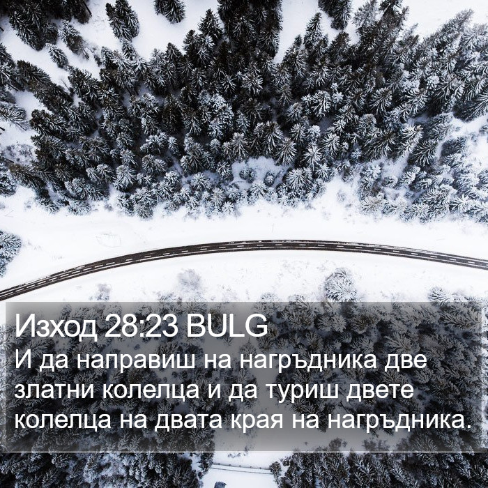 Изход 28:23 BULG Bible Study