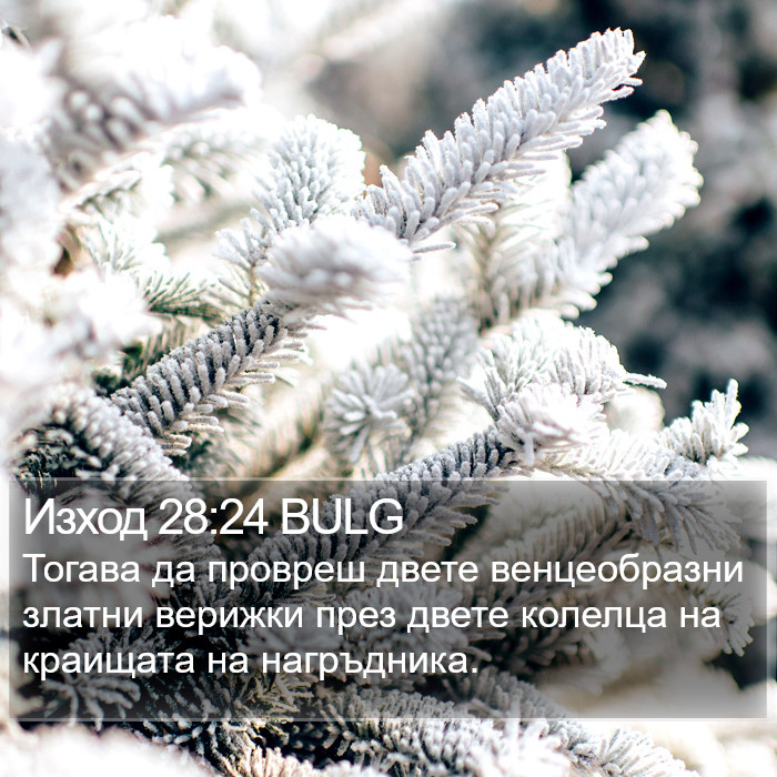 Изход 28:24 BULG Bible Study