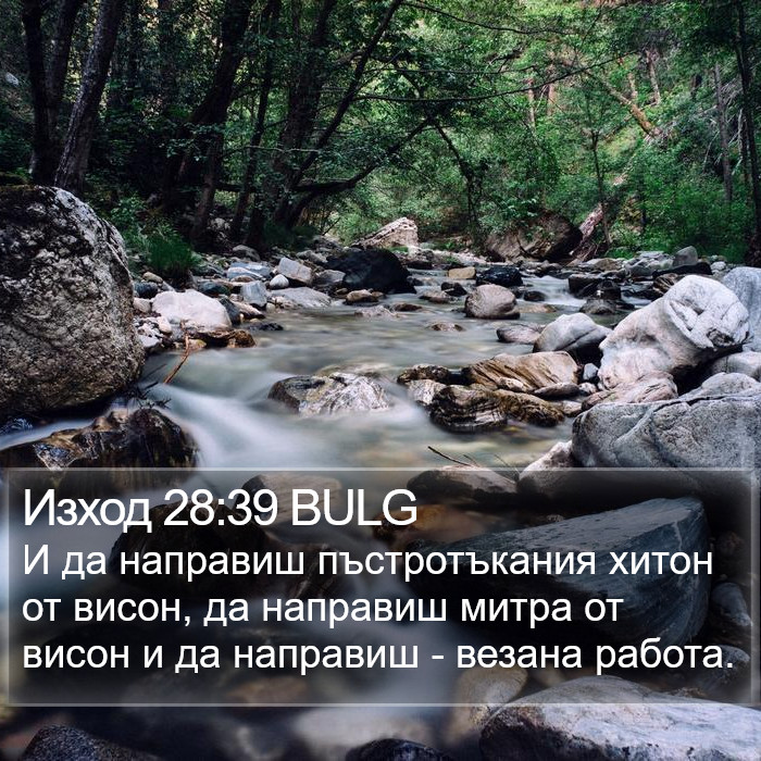 Изход 28:39 BULG Bible Study