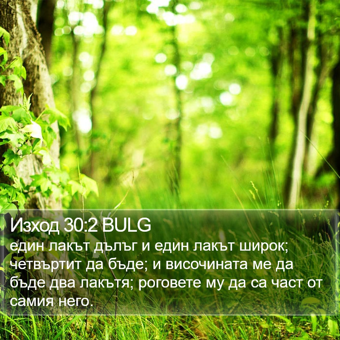 Изход 30:2 BULG Bible Study