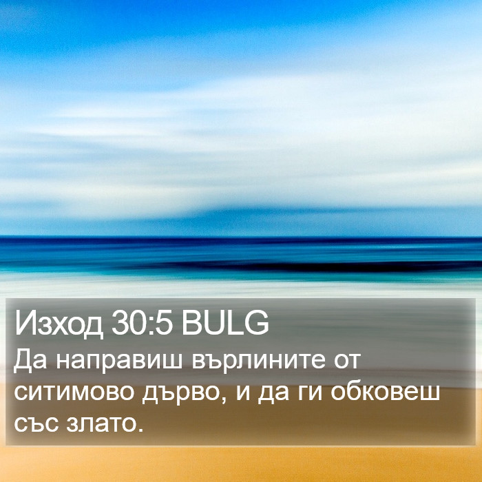 Изход 30:5 BULG Bible Study