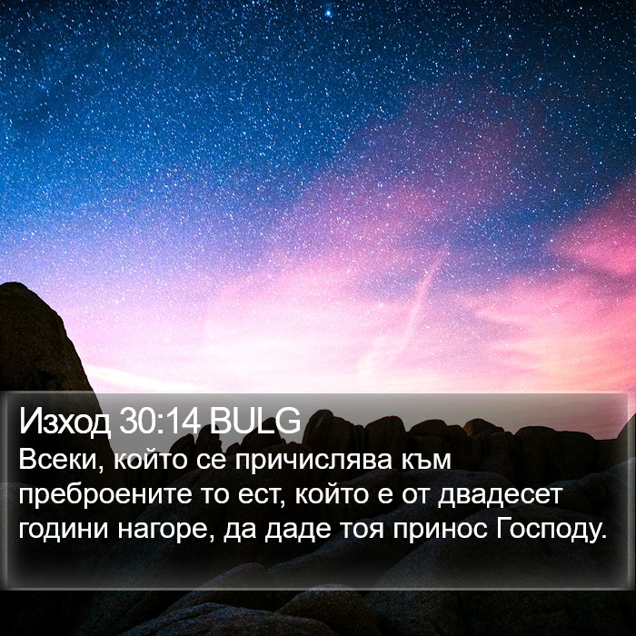 Изход 30:14 BULG Bible Study