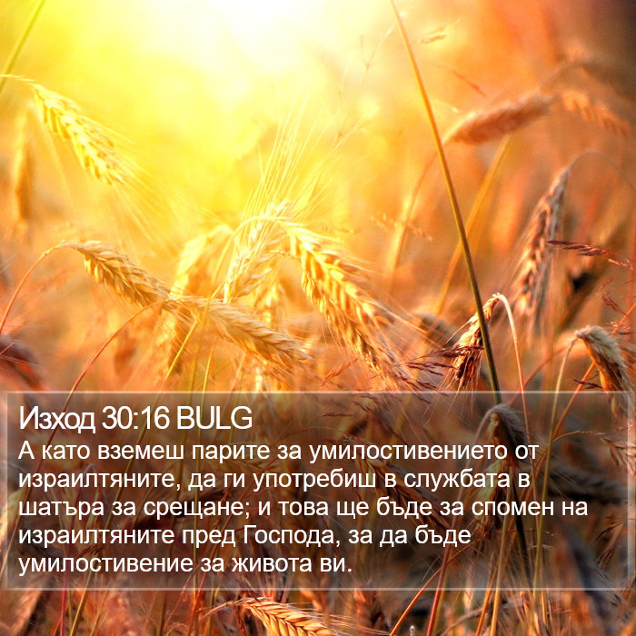 Изход 30:16 BULG Bible Study