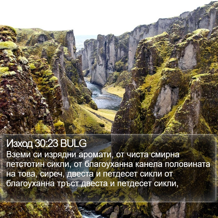 Изход 30:23 BULG Bible Study