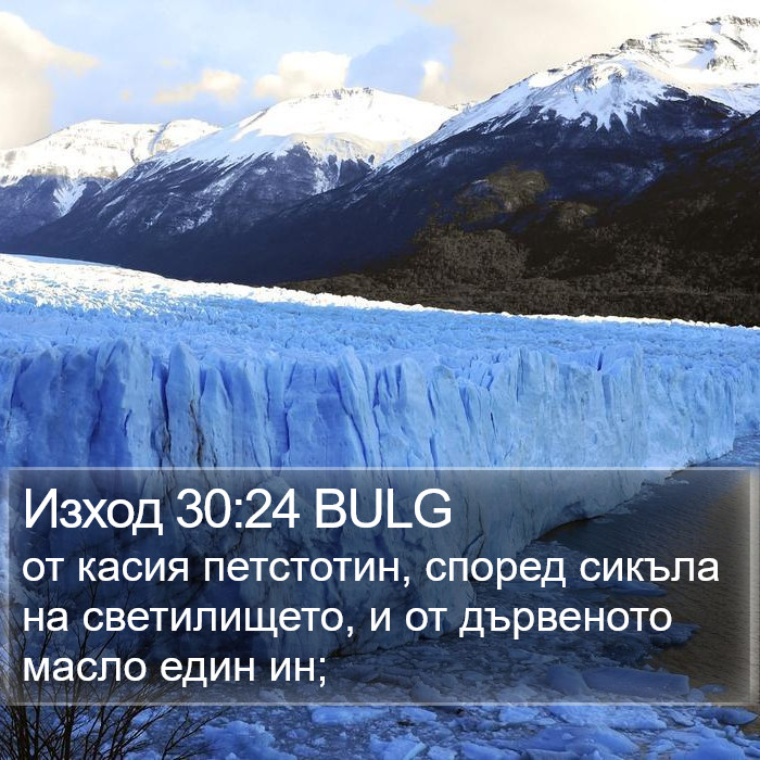 Изход 30:24 BULG Bible Study