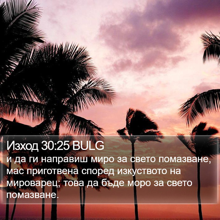 Изход 30:25 BULG Bible Study