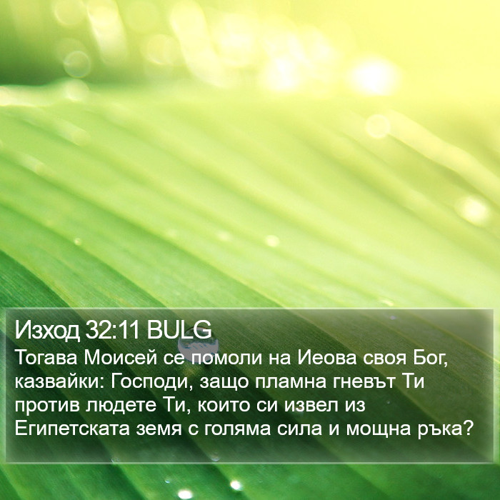 Изход 32:11 BULG Bible Study