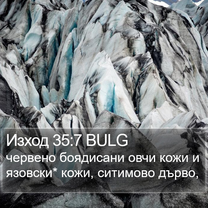 Изход 35:7 BULG Bible Study