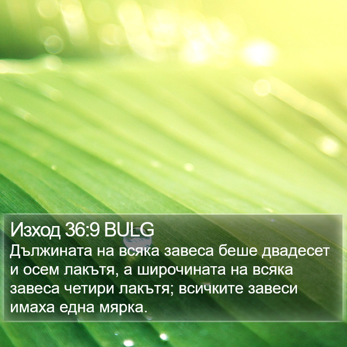 Изход 36:9 BULG Bible Study