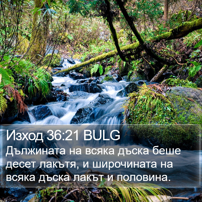 Изход 36:21 BULG Bible Study