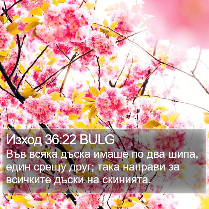 Изход 36:22 BULG Bible Study