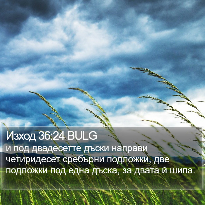 Изход 36:24 BULG Bible Study