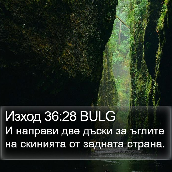 Изход 36:28 BULG Bible Study