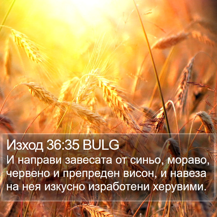 Изход 36:35 BULG Bible Study