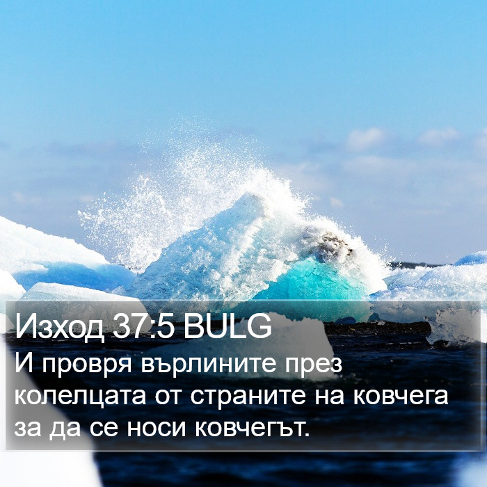 Изход 37:5 BULG Bible Study