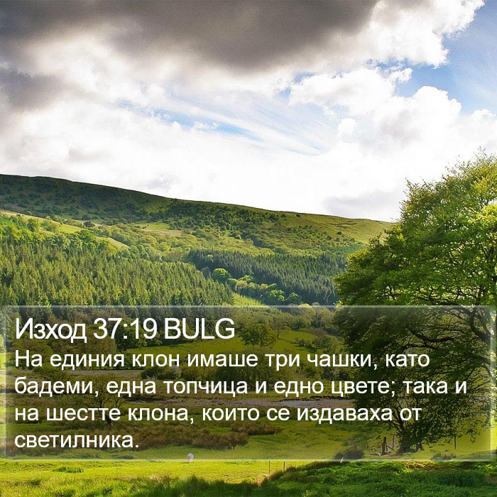 Изход 37:19 BULG Bible Study