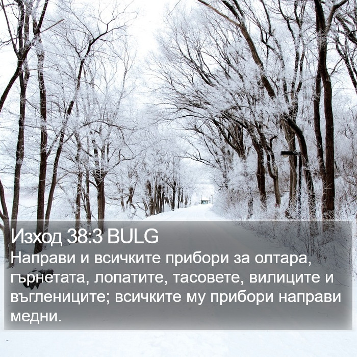 Изход 38:3 BULG Bible Study