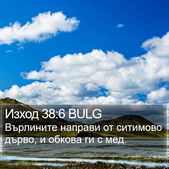 Изход 38:6 BULG Bible Study