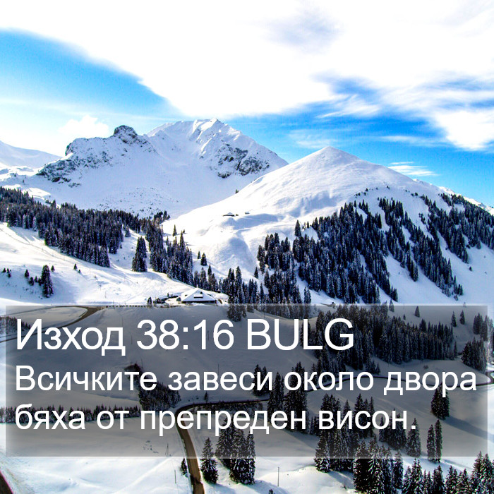 Изход 38:16 BULG Bible Study