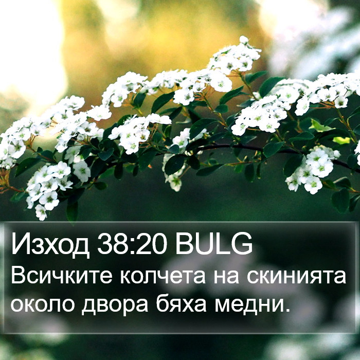 Изход 38:20 BULG Bible Study