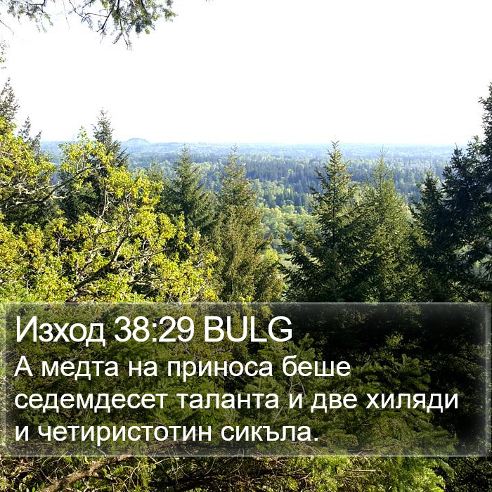 Изход 38:29 BULG Bible Study