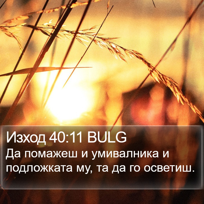 Изход 40:11 BULG Bible Study