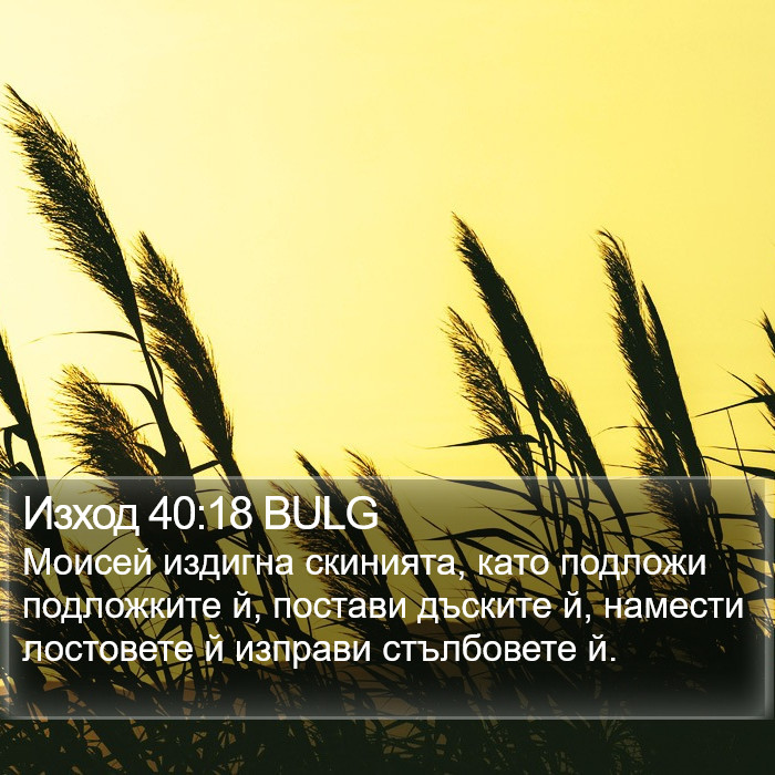 Изход 40:18 BULG Bible Study