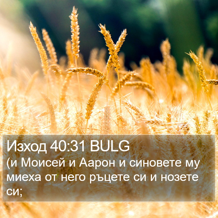 Изход 40:31 BULG Bible Study