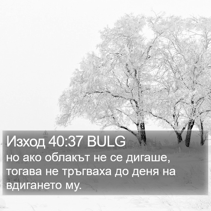 Изход 40:37 BULG Bible Study