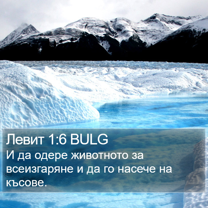 Левит 1:6 BULG Bible Study