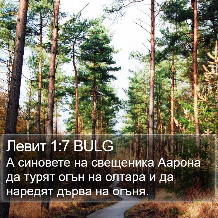 Левит 1:7 BULG Bible Study