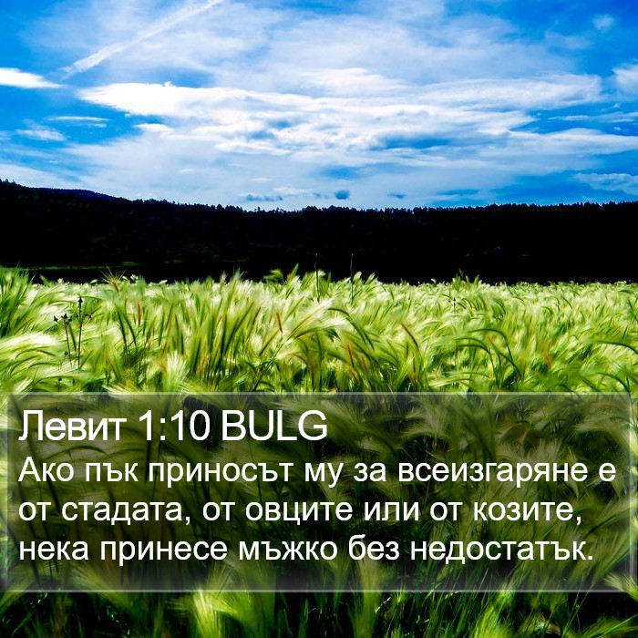 Левит 1:10 BULG Bible Study