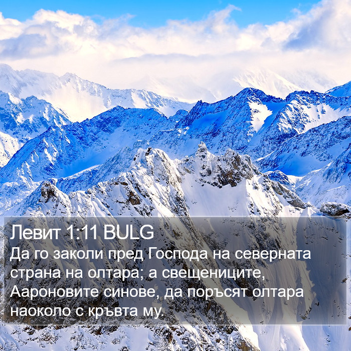 Левит 1:11 BULG Bible Study