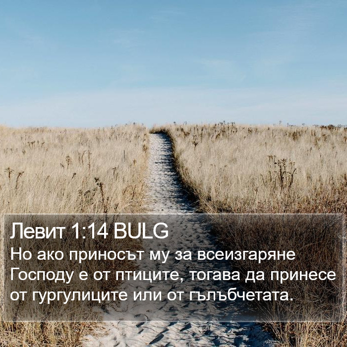 Левит 1:14 BULG Bible Study