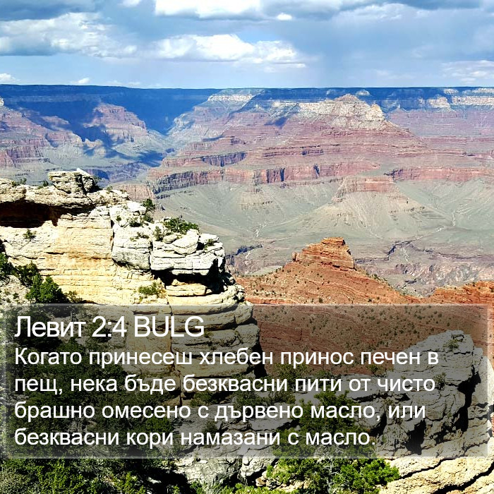 Левит 2:4 BULG Bible Study