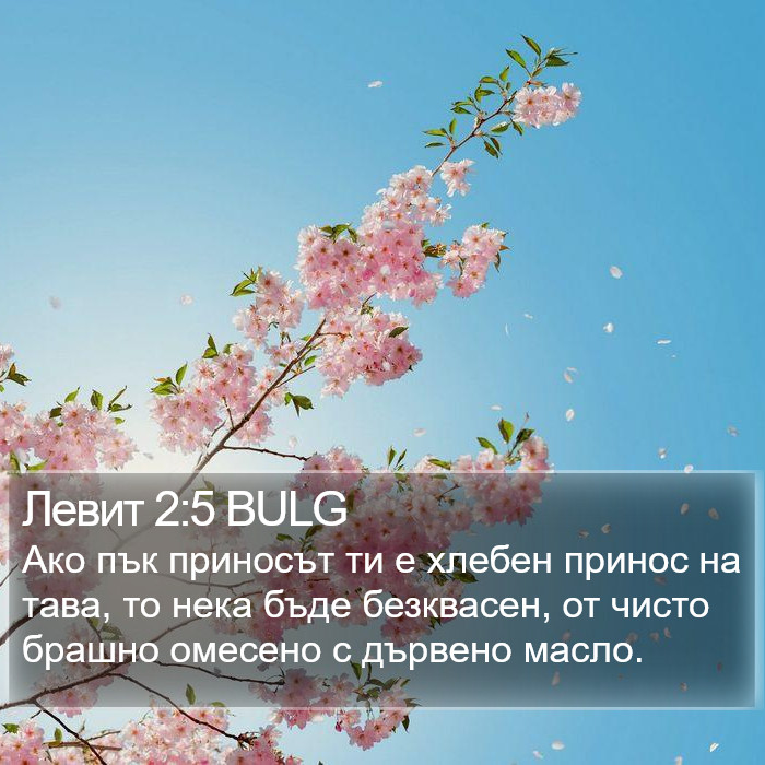 Левит 2:5 BULG Bible Study