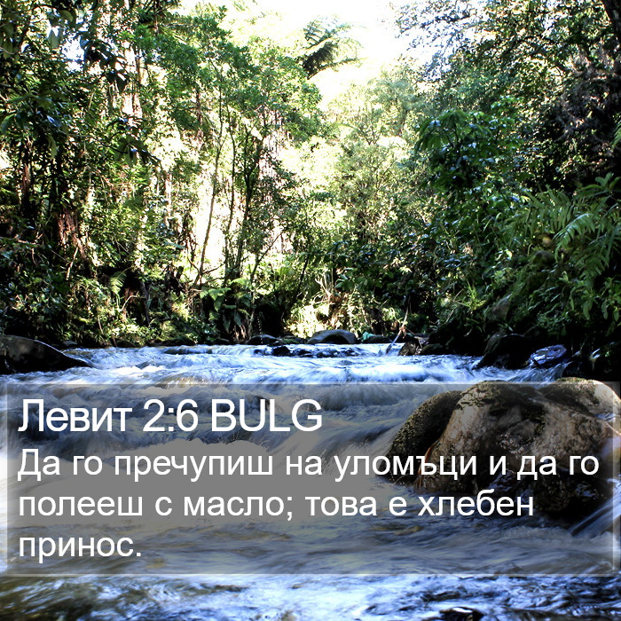 Левит 2:6 BULG Bible Study