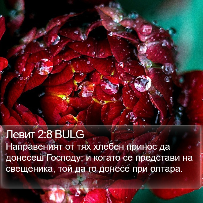 Левит 2:8 BULG Bible Study